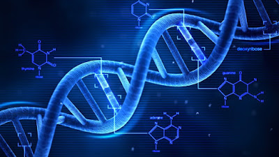 Testy określające funkcjonalność genów obniżają liczbę niezrozumiałych diagnoz genetycznych
